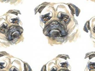Dog Log Book: A Cool Pug Pattern Themed Vaccination Record Book, Medical Journal and Pet Organizer for Dogs