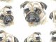 Dog Log Book: A Cool Pug Pattern Themed Vaccination Record Book, Medical Journal and Pet Organizer for Dogs