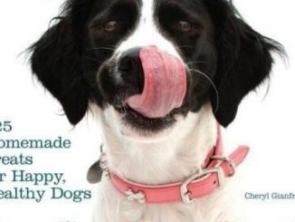 Doggy Desserts: 125 Homemade Treats for Happy, Healthy Dogs