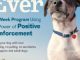 Training the Best Dog Ever: A 5-Week Program Using the Power of Positive Reinforcement