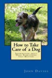How to Take Care of a Dog: Information about Dogs. Everything that Matters