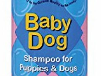 Crazy Dog Baby Dog Shampoo 12 fl. oz