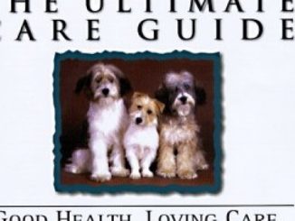 Dogs: The Ultimate Care Guide : Good Health, Loving Care, Maximum Longevity
