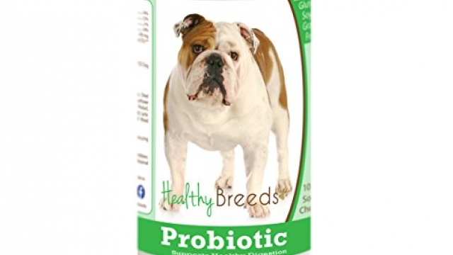 Healthy Breeds Dog Probiotic Soft Chews for Bulldog – OVER 200 BREEDS – Vet Formulated to Support Digestion – Grain Free – 100 Chews Healthy Breeds Dog Probiotic Soft Chews for Bulldog – OVER 200 BREEDS – Vet Formulated to Support Digestion – Grain Free – 100 Chews