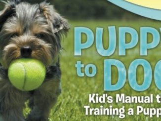 Puppy to Dog: Kid’s Manual to Training a Puppy! Pet Books for Kids – Children’s Animal Care & Pets Books
