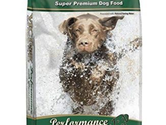 Victor Performance Dry Dog Food, 40 Lb. Bag Reviews