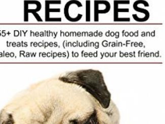 EASY HOMEMADE DOG FOOD RECIPES: 55+ DIY healthy homemade dog food and treats recipes, (including Grain-Free, Paleo, Raw recipes) to feed your best friend.