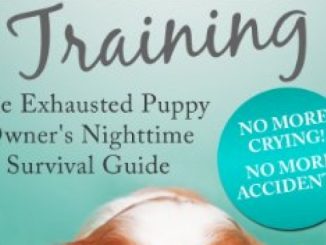 Puppy Sleep Training – The Exhausted Puppy Owner’s Nighttime Survival Guide