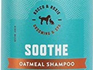 Rocco & Roxie – Oatmeal Dog Shampoo for Dry Itchy Skin – Soothing Relief Anti Itch Aloe Vera and Moisturizing Shea Butter – Best Natural Bath for Dirty Pets (16 oz)