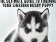 Siberian Husky Training – The Ultimate Guide to Training Your Siberian Husky Puppy: Includes Sit, Stay, Heel, Come, Crate, Leash, Socialization, Potty Training and How to Eliminate Bad Habits