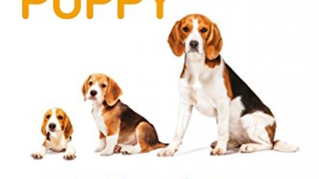 Your Beagle Puppy Month by Month: Everything You Need to Know at Each State to Ensure Your Cute and Playful Puppy (Your Puppy Month by Month) Your Beagle Puppy Month by Month: Everything You Need to Know at Each State to Ensure Your Cute and Playful Puppy (Your Puppy Month by Month)