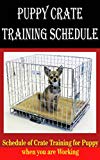 Puppy Crate Training Schedule: Schedule of Crate Training for Puppy When You are Working