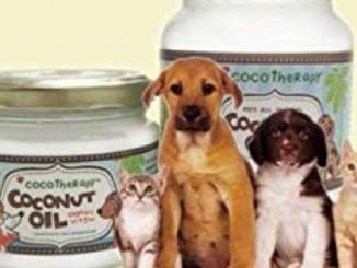 COCONUT OIL FOR DOGS AND CATS: All you need to know about coconut oil for treating various ailments in cats and dogs