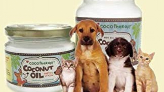 COCONUT OIL FOR DOGS AND CATS: All you need to know about coconut oil for treating various ailments in cats and dogs COCONUT OIL FOR DOGS AND CATS: All you need to know about coconut oil for treating various ailments in cats and dogs