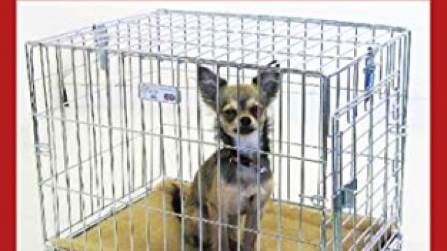 Puppy Crate Training Schedule: Schedule of Crate Training for Puppy When You are Working Puppy Crate Training Schedule: Schedule of Crate Training for Puppy When You are Working