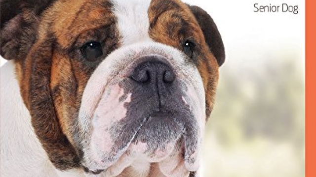The Bulldog: Your Essential Guide From Puppy To Senior Dog (Best of Breed) The Bulldog: Your Essential Guide From Puppy To Senior Dog (Best of Breed)
