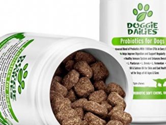 Doggie Dailies Probiotics for Dogs: 225 Soft Chews, Advanced Dog Probiotics + Prebiotics, Relieves Dog Diarrhea, Improves Digestion, Optimizes Immune System & Enhances Overall Health, Made in The USA