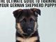 German Shepherd Training – The Ultimate Guide to Training Your German Shepherd Puppy: Includes Sit, Stay, Heel, Come, Crate, Leash, Socialization, Potty Training and How to Eliminate Bad Habits
