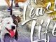 New Leash on Life (The Dogfather Book 2) Reviews