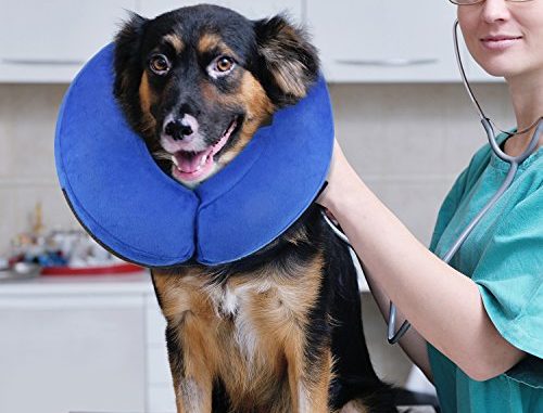 ONSON Protective Inflatable Dog Collar, Soft Pet Recovery E-Collar Cone for Small Medium Large Dogs, Designed to Prevent Pets from Touching Stitches, Wounds and Rashes, Does Not Block Vision