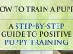 Puppy Training: How To Train a Puppy: A Step-by-Step Guide to Positive Puppy Training (Dog training,Puppy training, Puppy house training, Puppy training … your dog,Puppy training books Book 3)