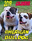 2019 Calendar American Bulldog: Dog weekly calendar, personal contacts list, password log, notes and to do list