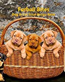 Furball Bites: Dog & Cat Treat Recipe Book