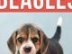 The Complete Guide to Beagles: Choosing, Housebreaking, Training, Feeding, and Loving Your New Beagle Puppy