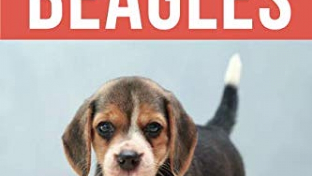 The Complete Guide to Beagles: Choosing, Housebreaking, Training, Feeding, and Loving Your New Beagle Puppy The Complete Guide to Beagles: Choosing, Housebreaking, Training, Feeding, and Loving Your New Beagle Puppy