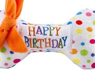 Haute Diggity Dog Yip Yip Hooray Collection | Unique Squeaky Plush Dog Toys – Celebrate with Pupcakes!
