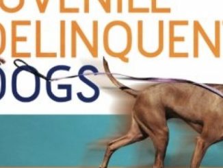 Juvenile Delinquent Dogs: The Complete Guide to Saving Your Sanity and Successfully Living with Your Adolescent Dog