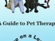 Love on a Leash: A Guide to Pet Therapy