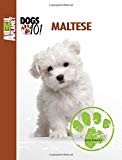 Maltese (Animal Planet: DOGS 101)
