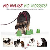 No walks? No worries!: Maintaining wellbeing in dogs on restricted exercise