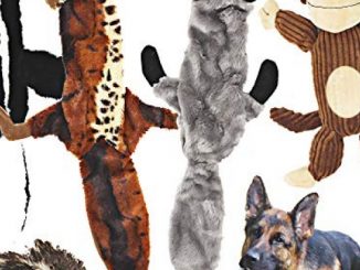 Jalousie 5 Pack Dog Squeaky Toys Three no Stuffing Toy and Two Plush with Stuffing for Small Medium Large Dog Pets