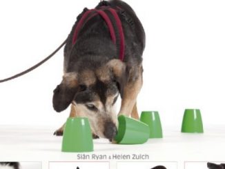 No walks? No worries!: Maintaining wellbeing in dogs on restricted exercise Reviews