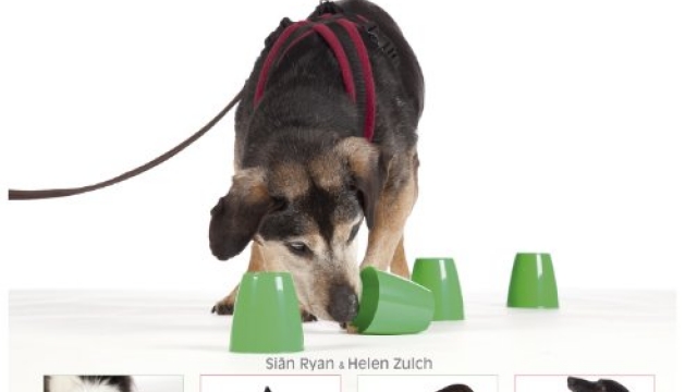 No walks? No worries!: Maintaining wellbeing in dogs on restricted exercise Reviews No walks? No worries!: Maintaining wellbeing in dogs on restricted exercise Reviews