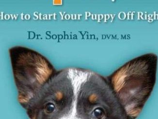 Perfect Puppy in 7 Days: How to Start Your Puppy Off Right Reviews
