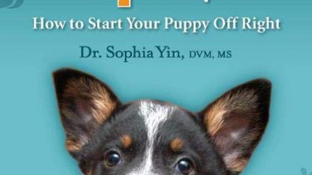 Perfect Puppy in 7 Days: How to Start Your Puppy Off Right Reviews Perfect Puppy in 7 Days: How to Start Your Puppy Off Right Reviews