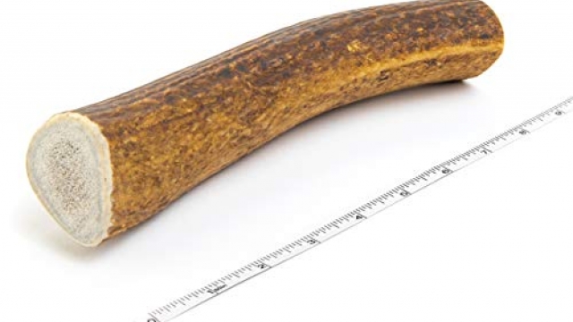 Premium Elk Antlers for Dogs | Antler Dog Chew Elk Bone For XL Dogs | Healthy & Long Lasting Treat For Aggressive Chewers | Wild Sourced in the USA – Veteran Owned (Whole, Extra Large 8″-11″) Premium Elk Antlers for Dogs | Antler Dog Chew Elk Bone For XL Dogs | Healthy & Long Lasting Treat For Aggressive Chewers | Wild Sourced in the USA – Veteran Owned (Whole, Extra Large 8″-11″)
