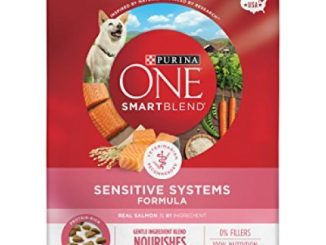 Purina ONE Natural Sensitive Stomach Dry Dog Food, SmartBlend Sensitive Systems Formula – 31.1 lb. Bag