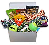 Good Dog Care Package New Pet Gift box