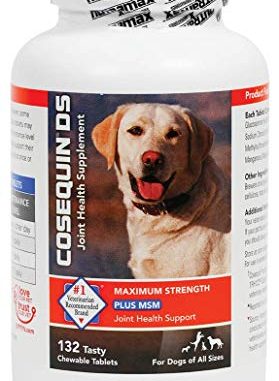 Nutramax Cosequin DS Plus with MSM Chewable Tablets, 132 Count