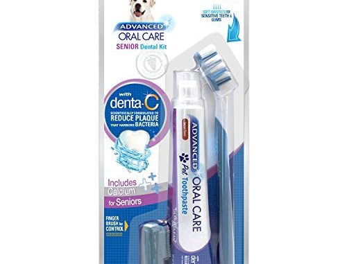Nylabone Advanced Oral Care Small Senior Dog Dental Kit