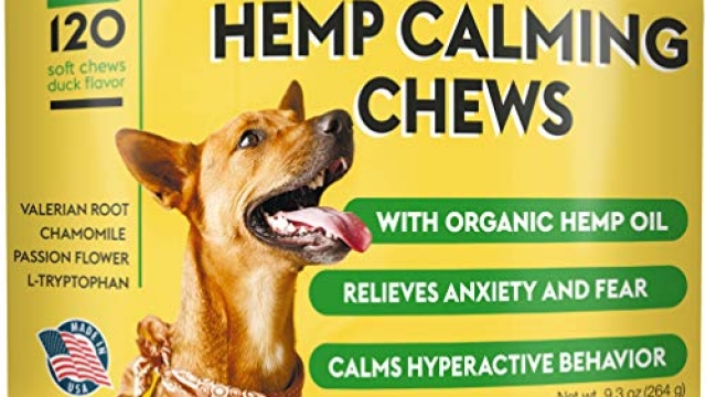 Pawfectchow Hemp Calming Treats for Dogs – Made in USA – Hemp Oil – Dog Anxiety Relief – Aids Stress Barking Separation Fireworks & Thunder – Aggressive Behavior – 120 Soft Chews Pawfectchow Hemp Calming Treats for Dogs – Made in USA – Hemp Oil – Dog Anxiety Relief – Aids Stress Barking Separation Fireworks & Thunder – Aggressive Behavior – 120 Soft Chews