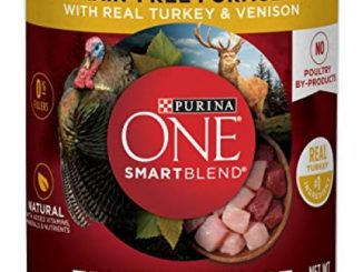 Purina ONE Grain Free, Natural Pate Wet Dog Food, SmartBlend True Instinct With Real Turkey & Venison – (12) 13 oz. Cans