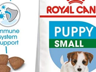 Royal Canin Small Puppy Dry Dog Food, 13 Lb.