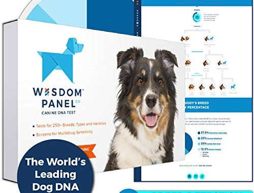 Wisdom Panel 3.0 Canine DNA Test - Dog DNA Test Kit for Breed and Ancestry Information