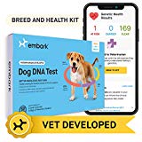 Embark | Dog DNA Test | Breed & Health Kit | Breed Identification & Canine Genetic Health Screening