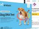 Embark | Dog DNA Test | Breed & Health Kit | Breed Identification & Canine Genetic Health Screening